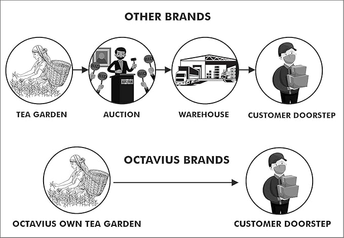 Octavius Assorted 5 Loose Leaf Tea Samplers | Indian Masala Chai |Cardamom Chai |Cinnamon Chai|Kashmiri Kahwa|Tulsi Green Tea|Perfect For Chai Lovers & Green Tea Lovers|25 cups (5 packs of 10gm each)