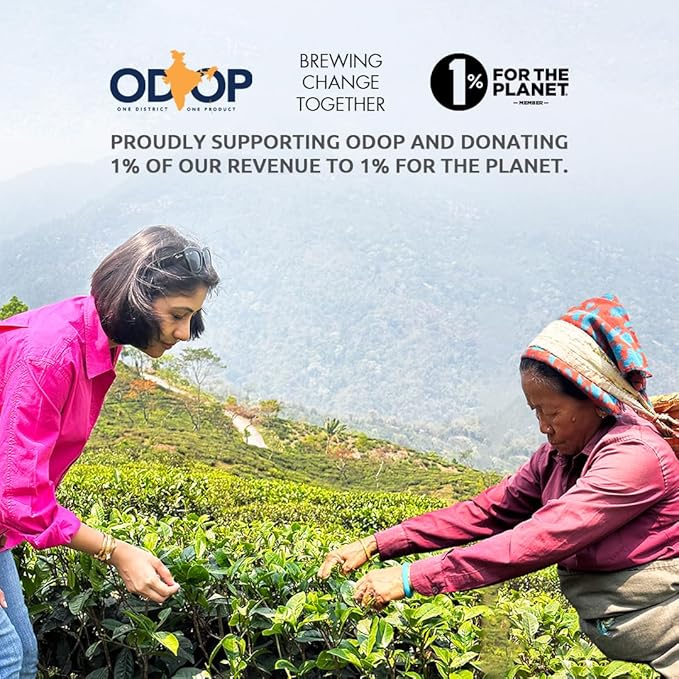 CelesTe Vedic Elixir - Turmeric Tea Loose Leaf - Premium Blend with Cinnamon, Black Pepper, Lemon Grass, Tulsi, Clove and Ashwagandha | 100% Natural Loose Leaf Black Tea (1.76 oz) (50 gm) (25 Cups)