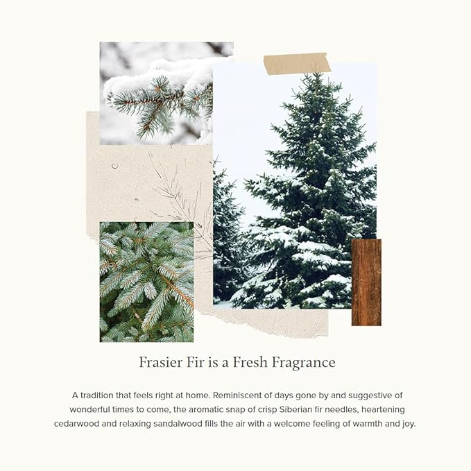 Thymes Frasier Fir Scented Candles for Home Decor - Green Pillar Candles for Women & Men - Place on Candle Holder - Luxury Home Fragrance Gifts (Molded Pinecone Pillar)