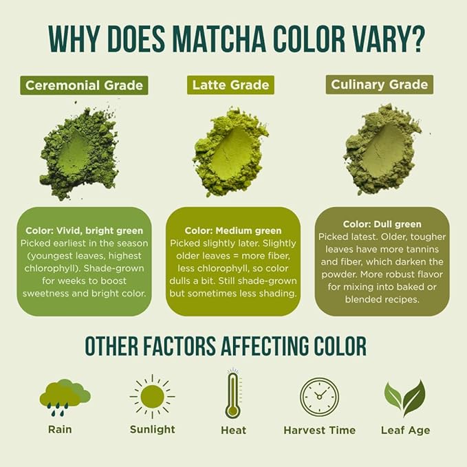 Jade Leaf Matcha Organic Premium Ceremonial Grade Matcha Green Tea Powder - Japanese - Culinary, Ingredient, Ceremonial Barista Teahouse, Latte, Collagen, 5.3 Ounce (Pack of 1), Matcha Latte