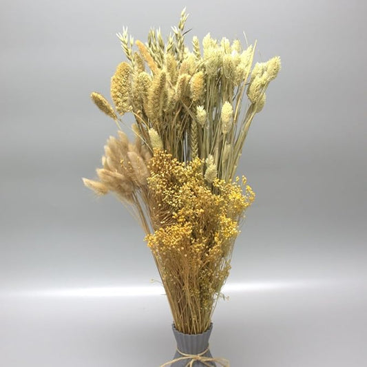 Dried Flower Bouquet & Floral Mix Premium Hand-Packed Natural Dried Plants for Home Decor, Bouquets, and Arrangements – Made in Italy (Natural)