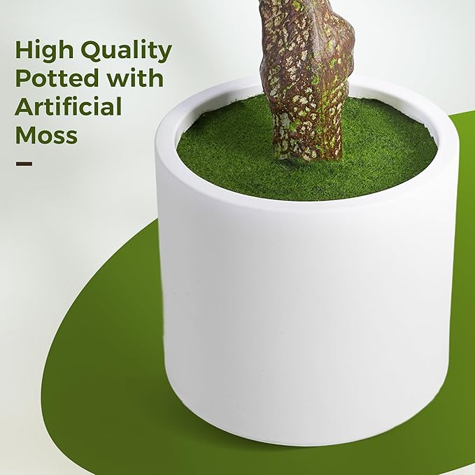 Olive Trees Artificial Indoor, 6FT Tall Faux Olive Tree with White Tall Planter, Artificial Plants with Natural Wood Trunk and Lifelike Fruits for Home Office Decor, 1 Pack