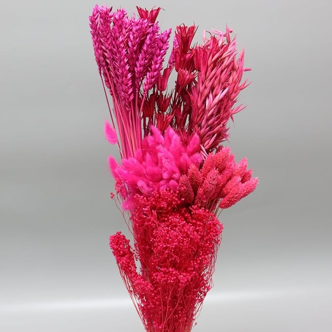 Dried Flower Bouquet & Floral Mix Premium Hand-Packed Natural Dried Plants for Home Decor, Bouquets, and Arrangements – Made in Italy (Hot Pink)