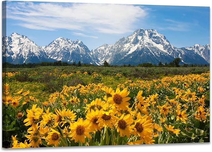 SKASNFAI Mountain Office Picture Wall Decor Sunflower Landscape Living Room Wall Art, Grand Teton Posters Print Artwork for Walls (16L x 24W)
