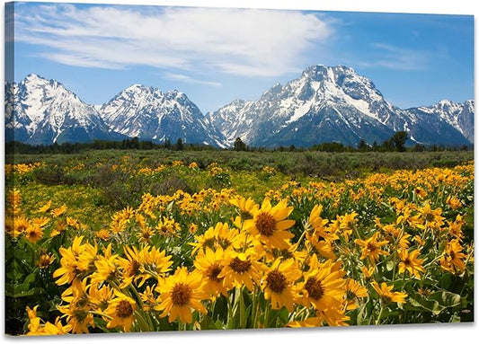 SKASNFAI Mountain Office Picture Wall Decor Sunflower Landscape Living Room Wall Art, Grand Teton Posters Print Artwork for Walls (16L x 24W)