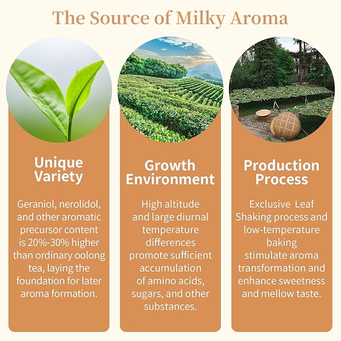 Yuexi Milk Oolong Tea Authentic Taiwanese High Mountain Tea Premium Taiwan Jin Xuan Loose Leaf Naturally Milky Cream Aroma 150g(5.29oz) Taiwan Ulong 奶香乌龙茶 台灣烏龍茶