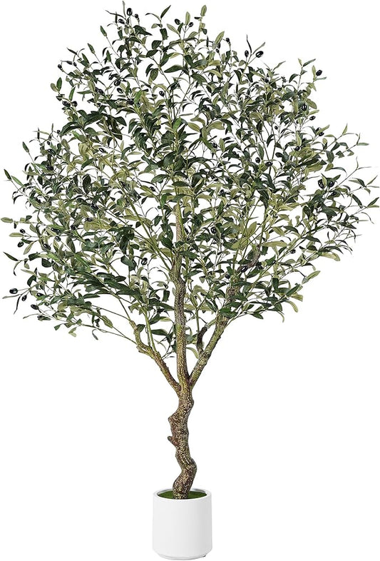 Olive Trees Artificial Indoor, 6FT Tall Faux Olive Tree with White Tall Planter, Artificial Plants with Natural Wood Trunk and Lifelike Fruits for Home Office Decor, 1 Pack