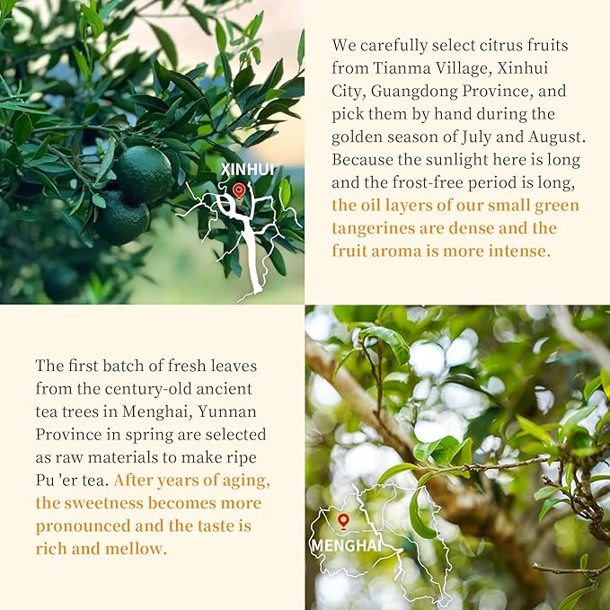 XIXICHA Puerh Tea Premium Tangerine Peel Pu-erh Tea 5.64oz(160g) Xiao Qing Gan Xinhui ChenPi Pu'er Citrus Yunnan Puerh Green Orange Peel 陈皮普洱茶 普洱小青柑 广东新会小青柑 云南勐海普洱茶 熟茶