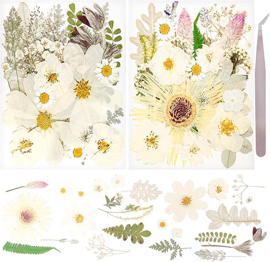 50Pcs Dried Pressed Flowers Real Pressed Flowers Natural Dry Leaves Bulk Mixed Colorful Herbs Kit with Tweezers for Scrapbooking DIY Candle Jewelry Crafts Making Nails (White)