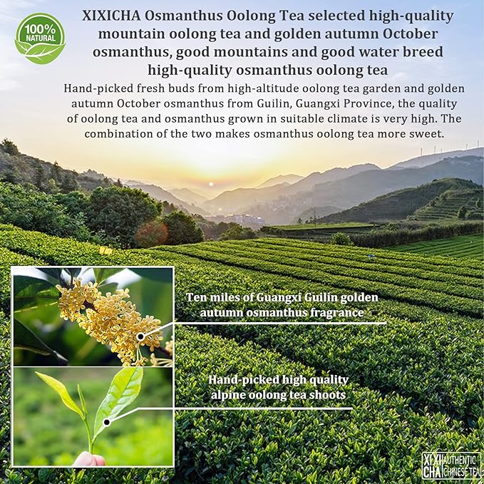 XIXICHA Osmanthus Oolong Tea Taiwan Tea Oolong Tea Loose Leaf Osmanthus Fragrans Tea Sweet And Aromatic Taste 桂花乌龙茶 台湾茶 高山茶（100 cups） 5.29oz/150g