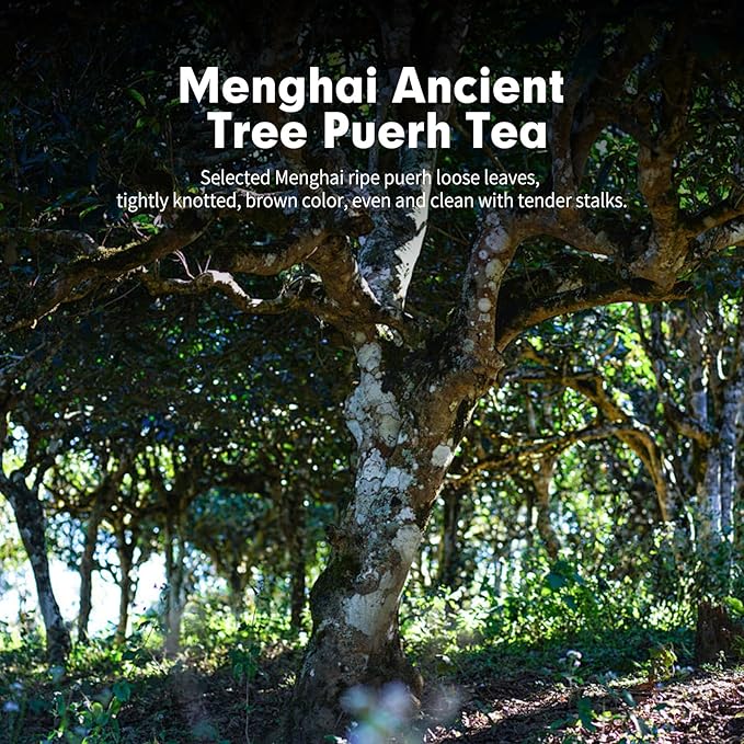 YUANSHENG Puerh Tea Premium Tangerine Peel Pu-erh Tea 7.05oz(200g), Xiao Qing Gan Puerh Xinhui ChenPi Pu'er Citrus with Strong Citrus Scent, Fermented Menghai Puer陈皮普洱茶 普洱小青柑 广东新会小青柑 云南勐海普洱茶