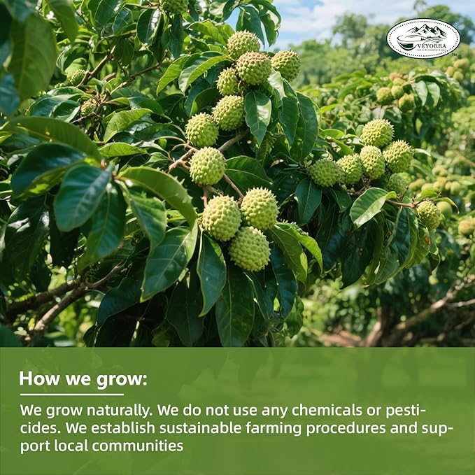 Soursop Leaves Tea Bags, 30 Teabags - Premium Soursop Graviola Leaves - Hojas De Guanabana Tea - Non-GMO - Caffeine-free - Improve Digestion, Support Healthy Skin & Sleep