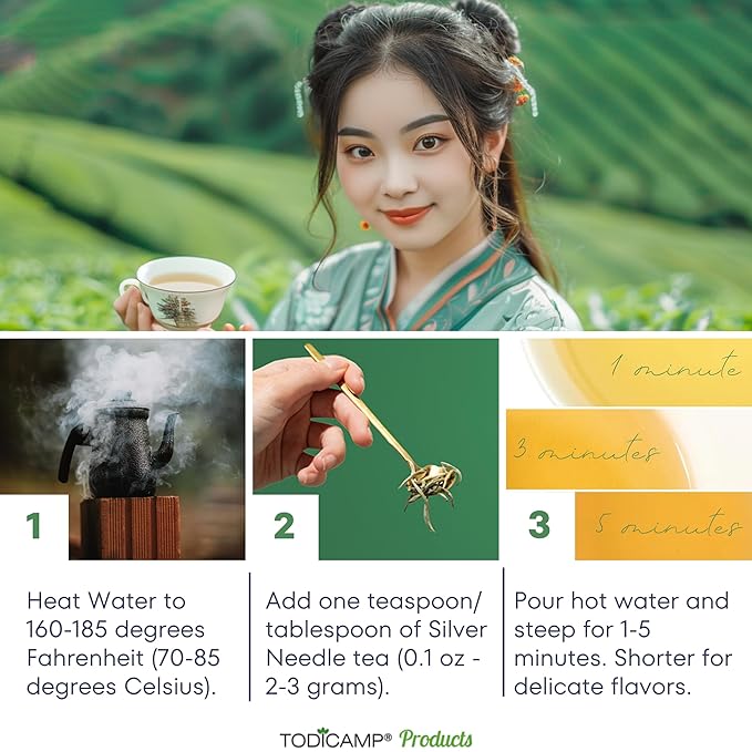 TODICAMP Organic Silver Needle Tea - 1 lb of Premium Organic White Tea Loose Leaf