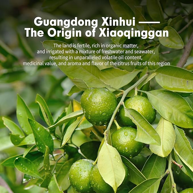 YUANSHENG Puerh Tea Premium Tangerine Peel Pu-erh Tea 7.05oz(200g), Xiao Qing Gan Puerh Xinhui ChenPi Pu'er Citrus with Strong Citrus Scent, Fermented Menghai Puer陈皮普洱茶 普洱小青柑 广东新会小青柑 云南勐海普洱茶