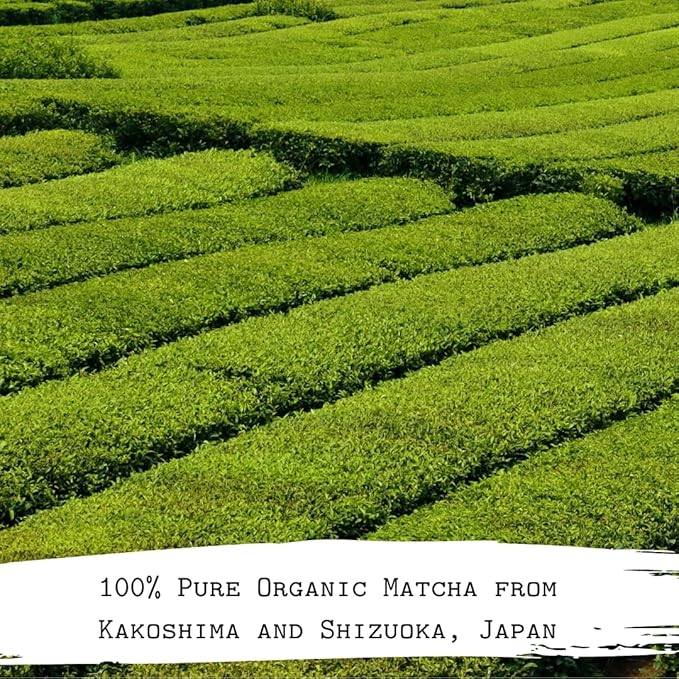 The Matcha Tribe Organic Ceremonial Matcha Green Tea Powder for Lattes. Authentic Japanese First Harvest from both Uji, Kakoshima and Shizuoka Japan. (1.06 Oz Tin - 30gr).