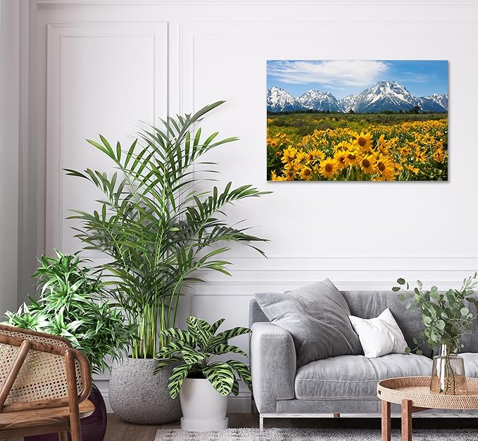SKASNFAI Mountain Office Picture Wall Decor Sunflower Landscape Living Room Wall Art, Grand Teton Posters Print Artwork for Walls (16L x 24W)