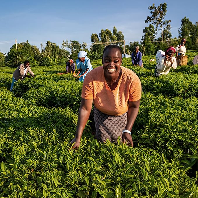 Akina Single-Origin Strawberry Black Tea Bags | 100% Naturally Flavored Fruit Tea, Kenyan Origin, Gourmet, (25 String & Tag Bags, 40g)