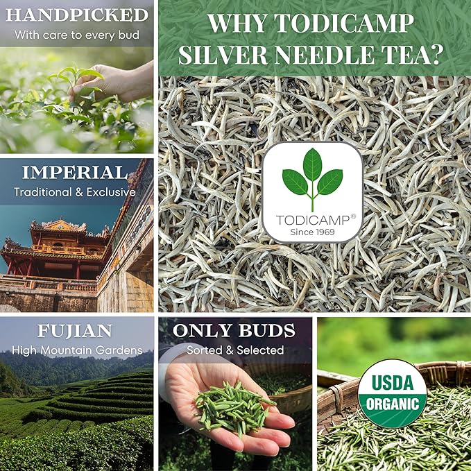 TODICAMP Organic Silver Needle Tea - 3 oz of Premium Organic White Tea Loose Leaf
