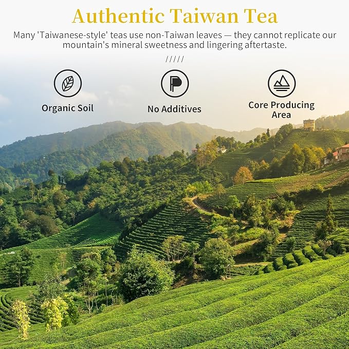 CHADUODUO Dong Ding Oolong Tea Loose Leaf Taiwan High Mountain Oolong Tea Taiwanese Tung Ting Gaoshan Ulong Tea 150g 5.3oz from Lugu Township Orchid Aroma 凍頂乌龙茶 乌龙茶