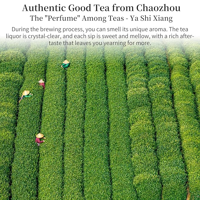 Yuexi Phoenix Oolong Tea Loose Leaf Ya Shi Xiang Dancong Tea Loose Leaf 4.23oz/120g Top-grade Chaozhou Phoenix Mountain Tea Rich Flavor 凤凰单枞 鸭屎香 潮州乌岽乌龙茶 单枞茶叶鸭屎香