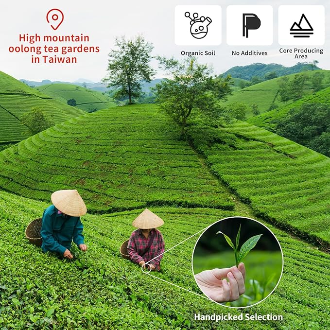 CHADUO Alishan Oolong Tea Loose Leaf Taiwan tea Premium High Mountain Oolong 150g 5.3oz Spring New Teas Orchid Aroma 乌龙茶 台湾茶 阿里山乌龙茶 高山茶