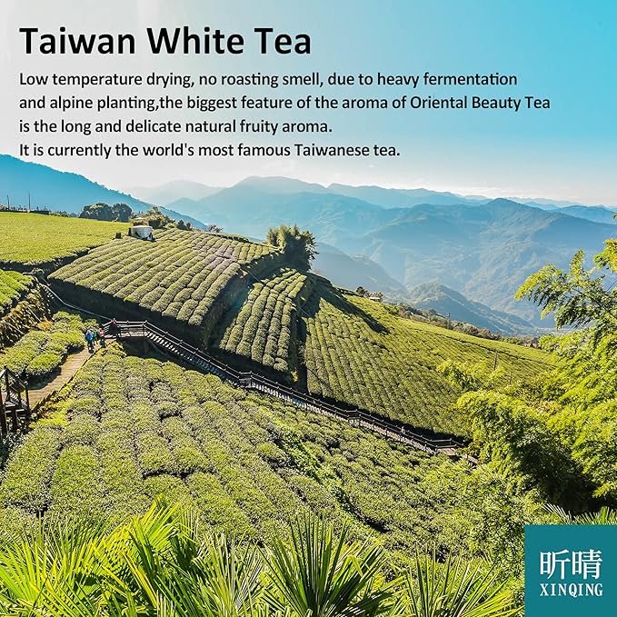 Xin Qing White Oolong Tea Oriental Beauty Tea Taiwan High Mountain Tea Taiwan Gaoshan Ulong Tea Taiwan Oolong Tea Loose Leaf Oolong Tea White Tea 75g